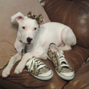 Meet your Posher, Teresa